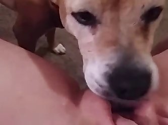 Man With Dog Find Passed Out Sleeping Girl On Grass And I Decided To Fuck Her