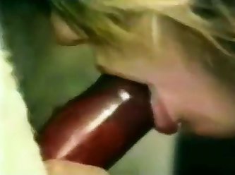 Dog Fuck Girl Pov