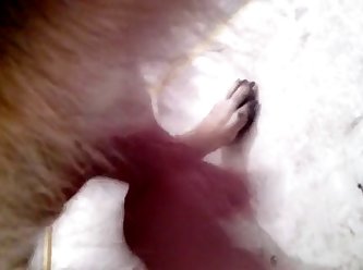 Amateur Fuck Dog Porn