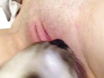 Two Teens Fuck A Dog