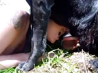 Dog Fuck Black Ebony