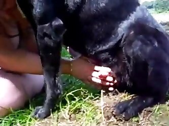 Dog Fuck Black Ebony