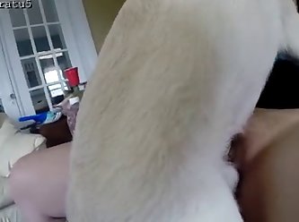 Amature Fuck Dog