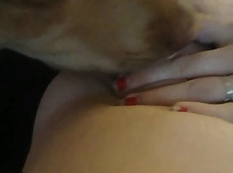 Vetenerian Girl Fuck Dog