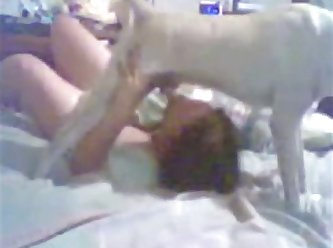Sex Girl Fuck Dog