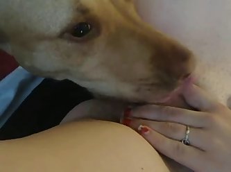 Vetenerian Girl Fuck Dog