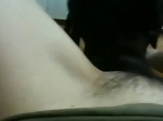 Fuck That Dog Tik Tok