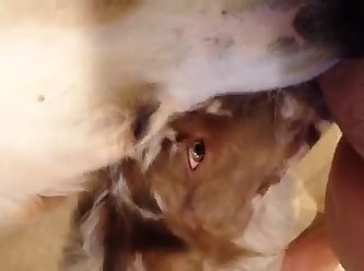 Dog Fuck Girl Anime Porn
