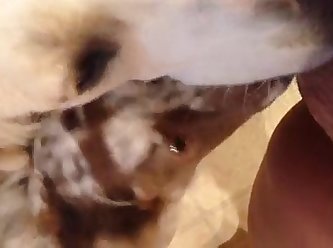 Dog Fuck Girl Anime Porn