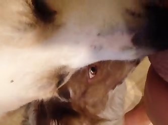 Dog Fuck Girl Anime Porn