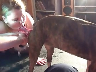 Dog Fuck Complation