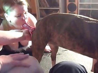 Dog Fuck Complation