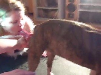 Dog Fuck Complation