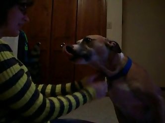 Dog Get The Fuck Outta Here