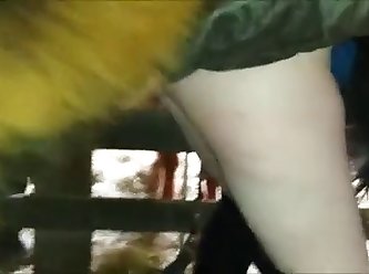 Allison Dog Fuck