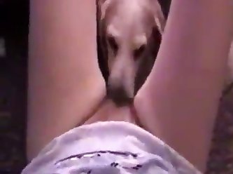 Fuck Dog Stile