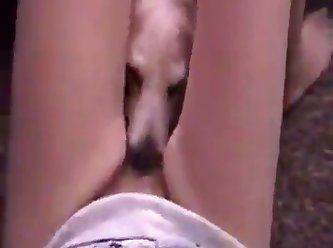 Fuck Dog Stile