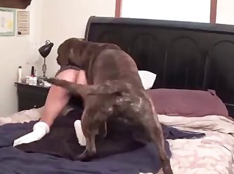 Poon The Fuck Dog