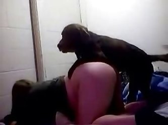 Amatuer Teen Fuck Dog