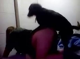 Amatuer Teen Fuck Dog