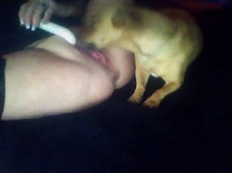 Dog Fuck Mam