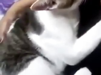 Vanessaprod Dog Fuck