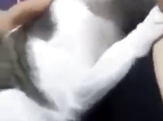 Vanessaprod Dog Fuck