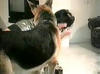 Accident Dog Fuck Story