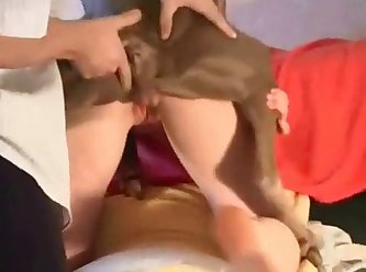 Dog First Fuck