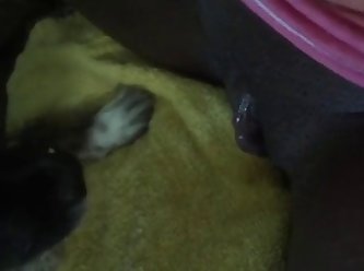 Monika Dog Fuck