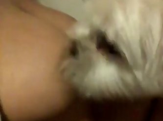 Dog Gets Fuck By Man