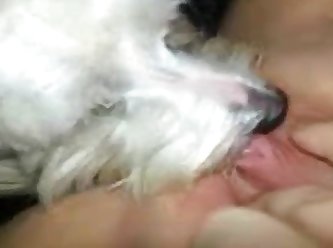 Dog Fuck Girls Videos