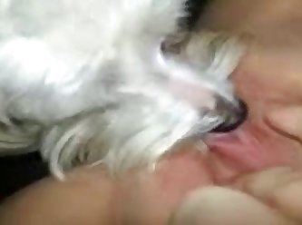 Dog Fuck Girls Videos
