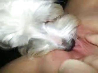 Dog Fuck Girls Videos