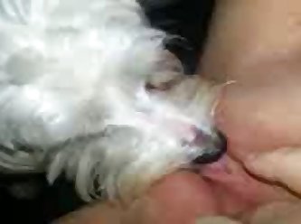 Dog Fuck Girls Videos