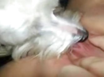 Dog Fuck Girls Videos