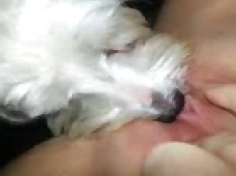 Dog Fuck Girls Videos