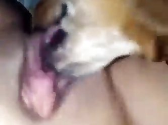 I Let My Dog Fuck Me Quora