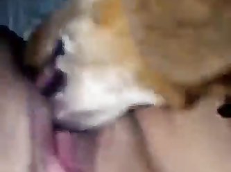 I Let My Dog Fuck Me Quora