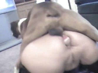 Dog Fuck Porn Gay
