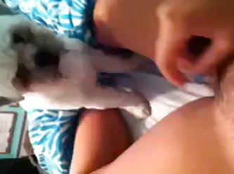 Force Dog Fuck