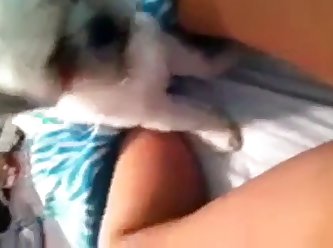 Force Dog Fuck