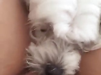 Fuck Dog Porn Video