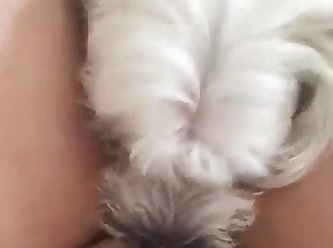 Fuck Dog Porn Video