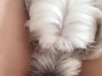 Fuck Dog Porn Video