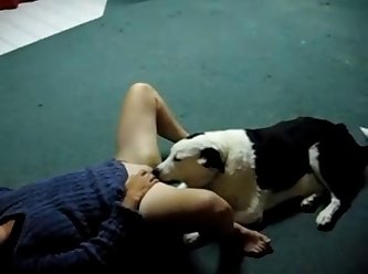 Painfull Dog Fuck