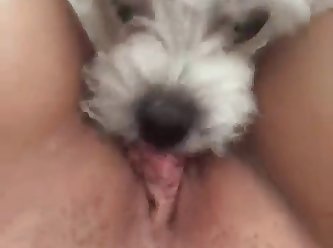 Fuck Dog Porn Video