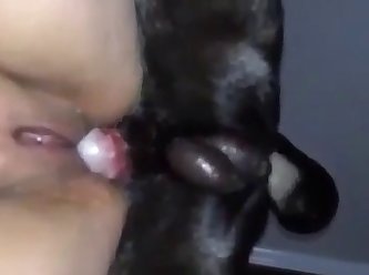 Dog Fuck Tgirl
