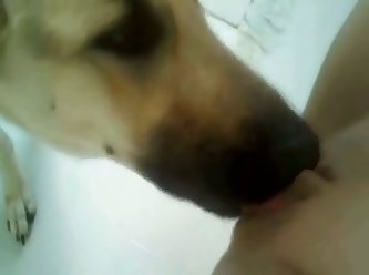 Painfull Dog Fuck