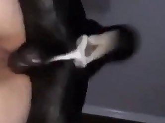 Dog Fuck Tgirl